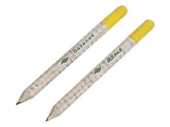 Набор растущих карандашей mini, 2 шт с семенами базилика и мяты