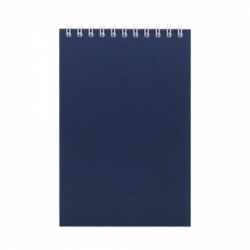 Блокнот Nettuno Mini в клетку, синий