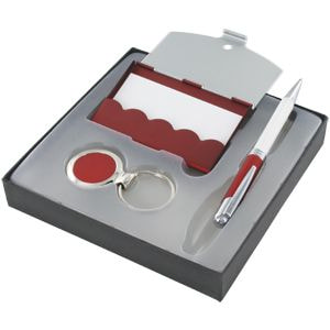 Набор: авторучка, брелок и визитница, красный с белым, 16х16 см, металл, лазерная гравировка, тампоп