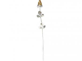 Роза с золотым бутоном