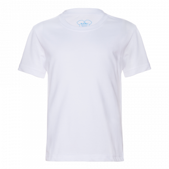 Футболка “Evolution” Классика детская_Белый (10)  (M/38)