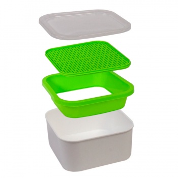 Подарочный комплект для проращивания микрозелени: проращиватель, семена дайкона