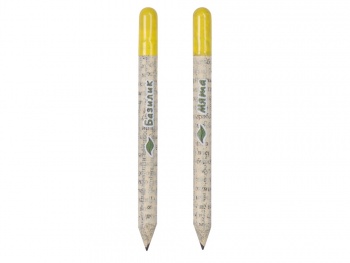 Набор растущих карандашей mini, 2 шт с семенами базилика и мяты