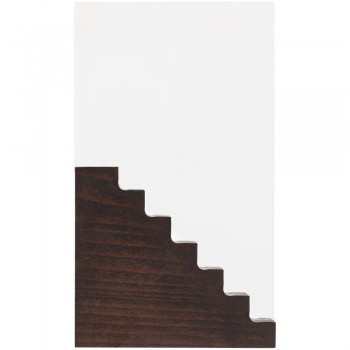 Награда Step Forward, венге