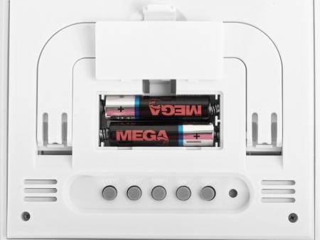 Метеостанция из бамбука "Moscow Heat"