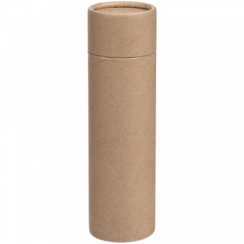 Ароматизатор воздуха Savor Flavor, манго