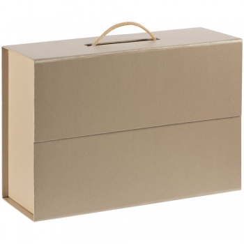 Коробка Portfolio, бежевая