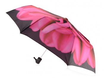 Набор «Георгин», черный/розовый