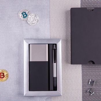 Набор подарочный BLACK GUN, Универсальный аккумулятор(10000мАh) и ручка, серебристый, шт