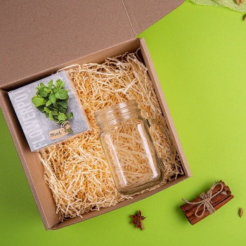 Набор подарочный PARTYMAKER: кружка-банка, горшочек для выращивания мяты, коробка, стружка
