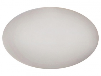 Шильд серебристый