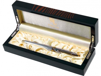 Ручка-роллер William Lloyd, серебристый/золотистый