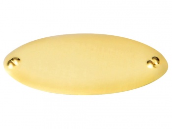 Шильд золотистый