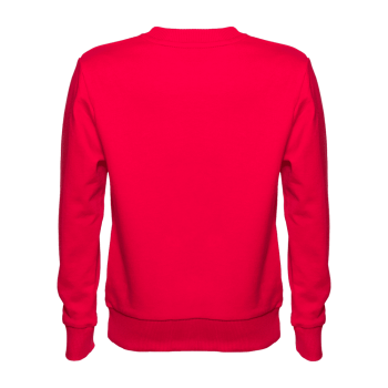 Свитшот детский STAN футер без начёса, 260, 63J, Красный,  (14)  (10/10 лет)