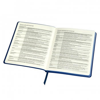 Набор подарочный QUEEN DIARIES: ежедневник, ручка, кружка, серебристый