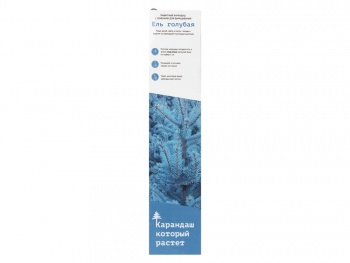 Карандаш с семенами ели голубой
