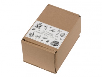 Набор для творчества «Домик Дракончика»