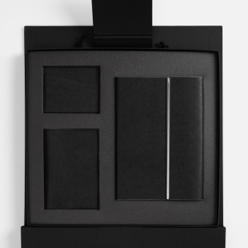 Набор Petrus Flap, черный