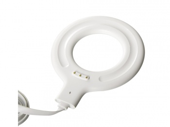 Блендер пластиковый "Smoothie" (Р)