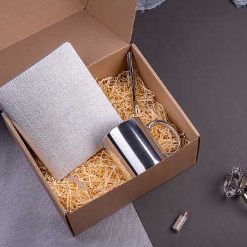 Набор подарочный QUEEN DIARIES: ежедневник, ручка, кружка, серебристый