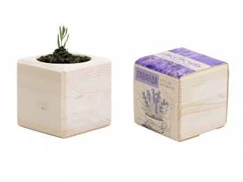 Набор для выращивания "Экокуб Classic "Лаванда"