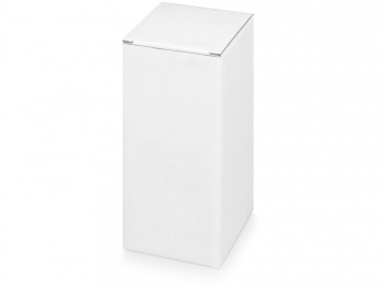 Термокружка "Гедж" 450мл, серебристый